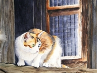 Chat en veille