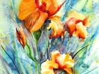 Les iris