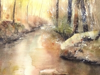 Forêt
