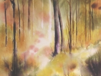 Forêt d'automne