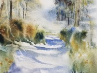 Forêt dans la brume
