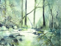 sous-bois